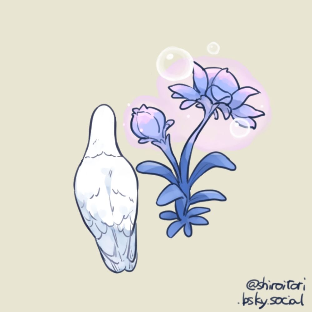 ささも