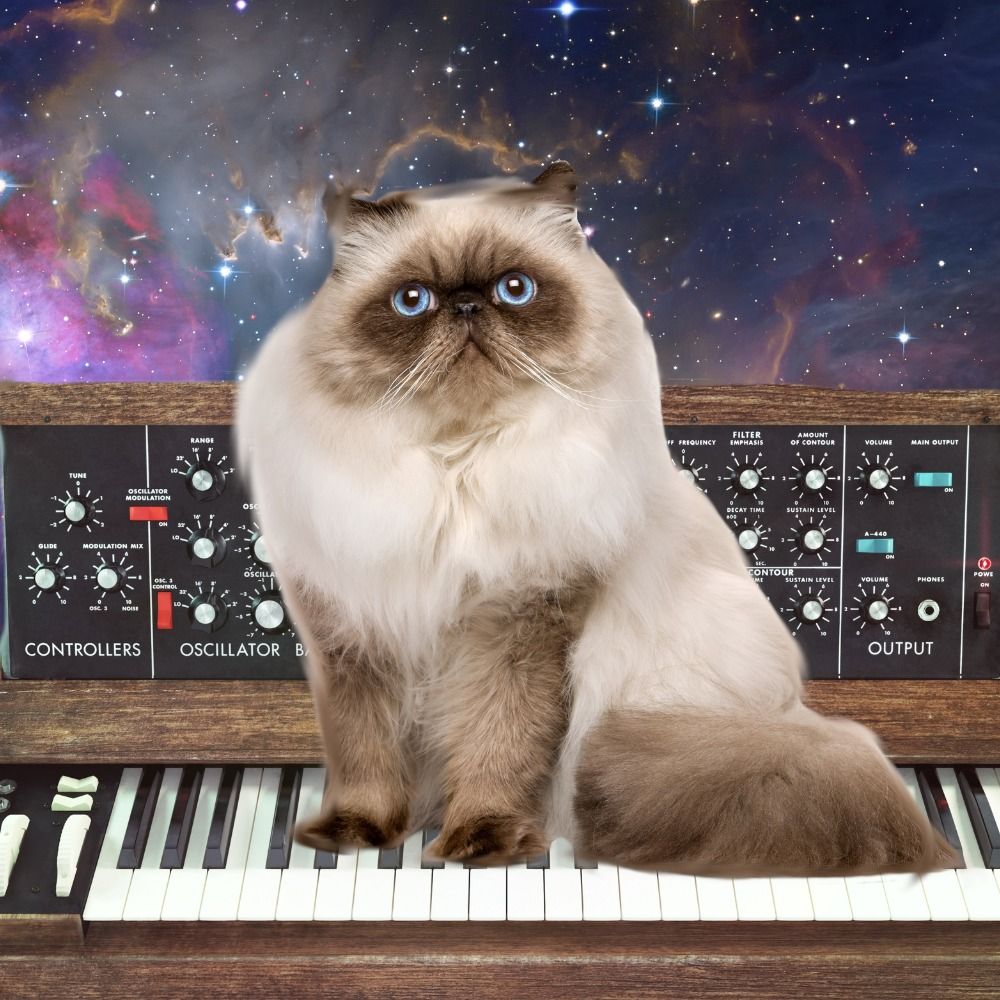 Red Cat Blue【Royalty-Free-Music】