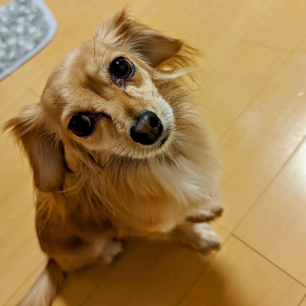 ぺんたん