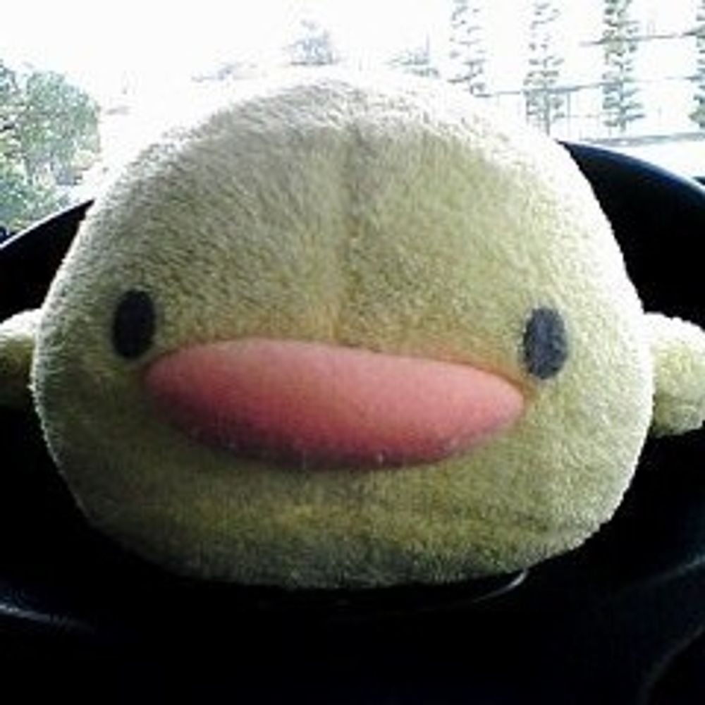 ひよか〜ご
