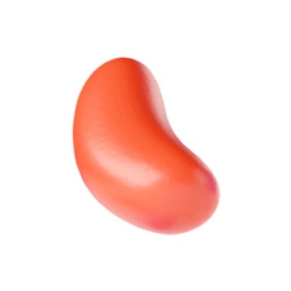 콩팥