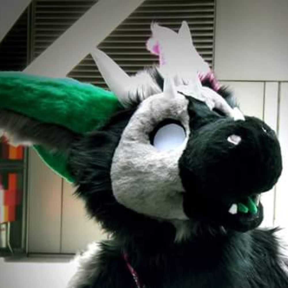 BinkyDragon.bsky.social's avatar