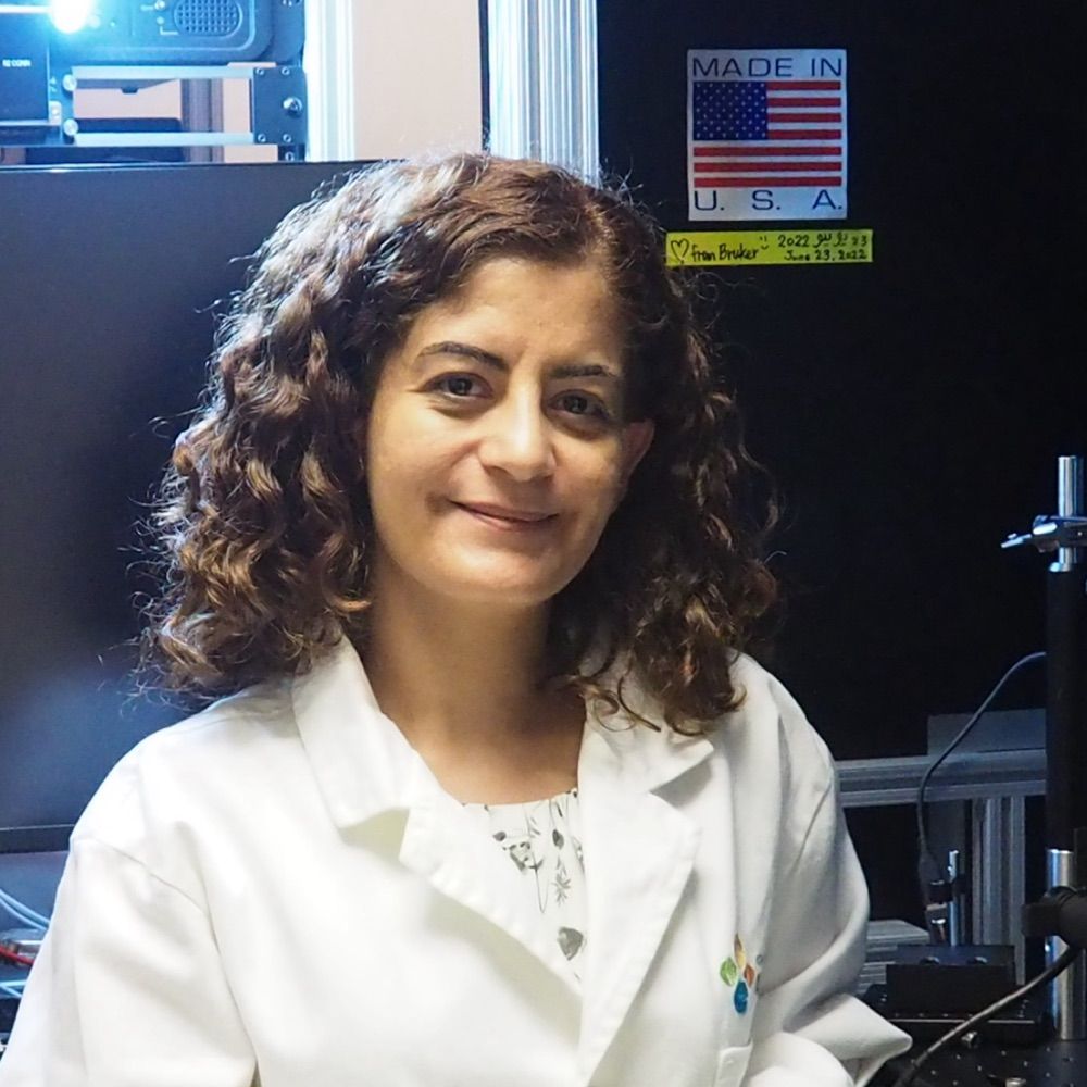 Leena Ali Ibrahim