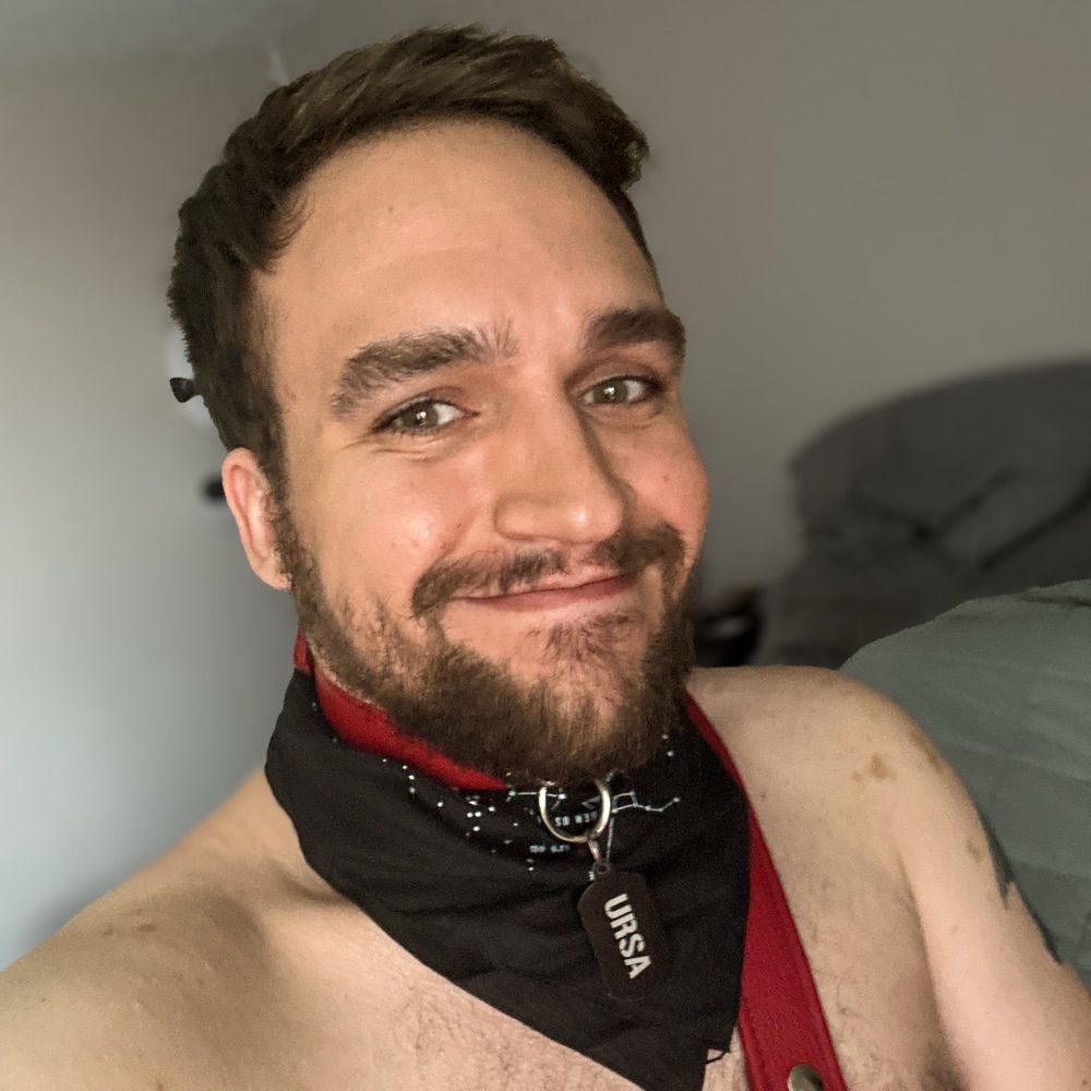 Pup Ursa