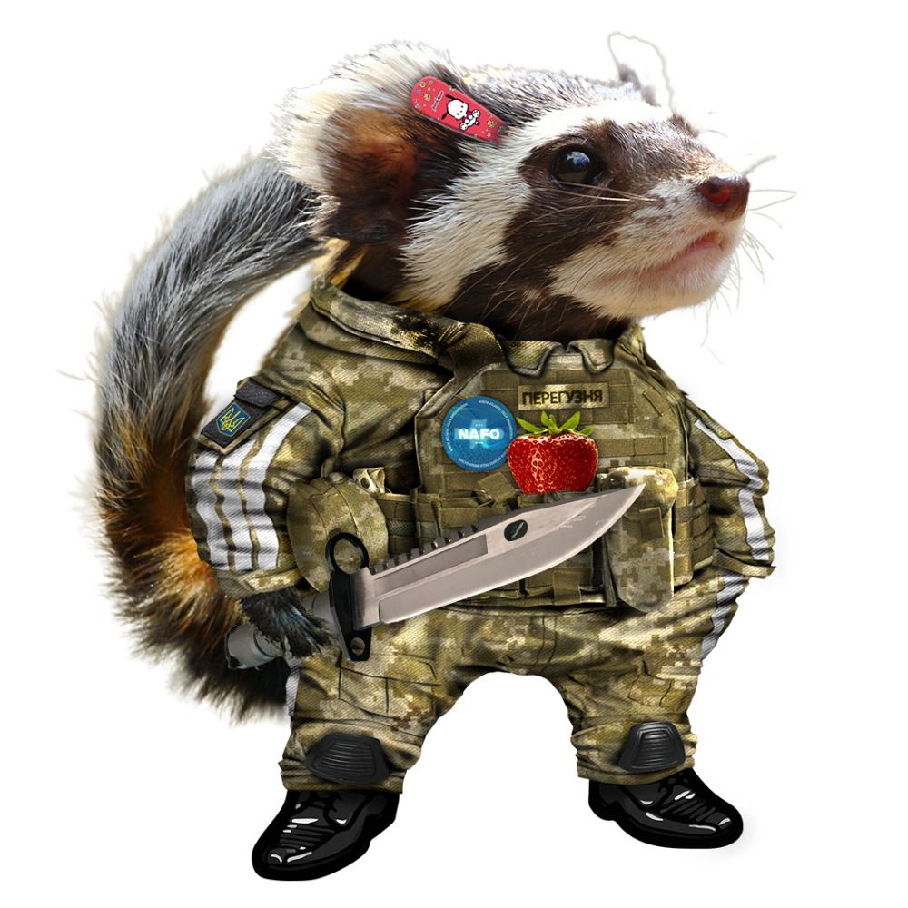 🦝 Nomad 🔪💪🏻 Nav. 🇺🇦