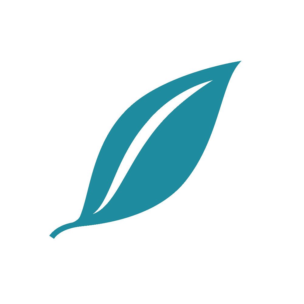 datamints.com GmbH