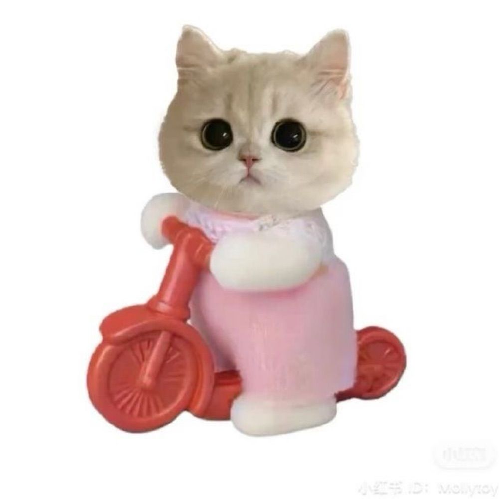 kitty