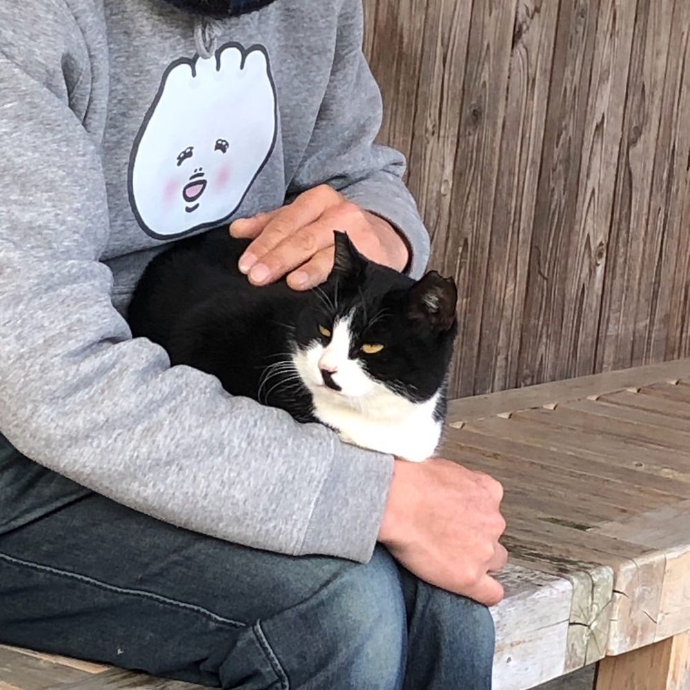 ヲラテ