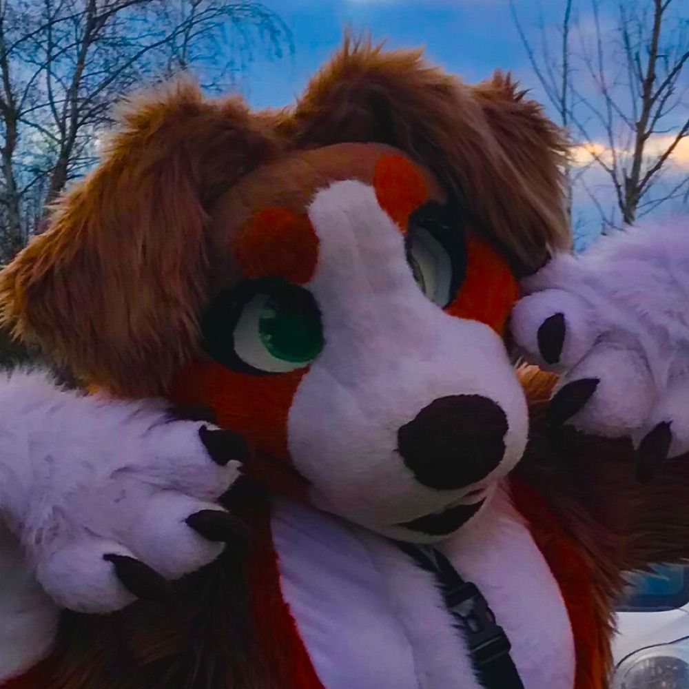 Fursweethome