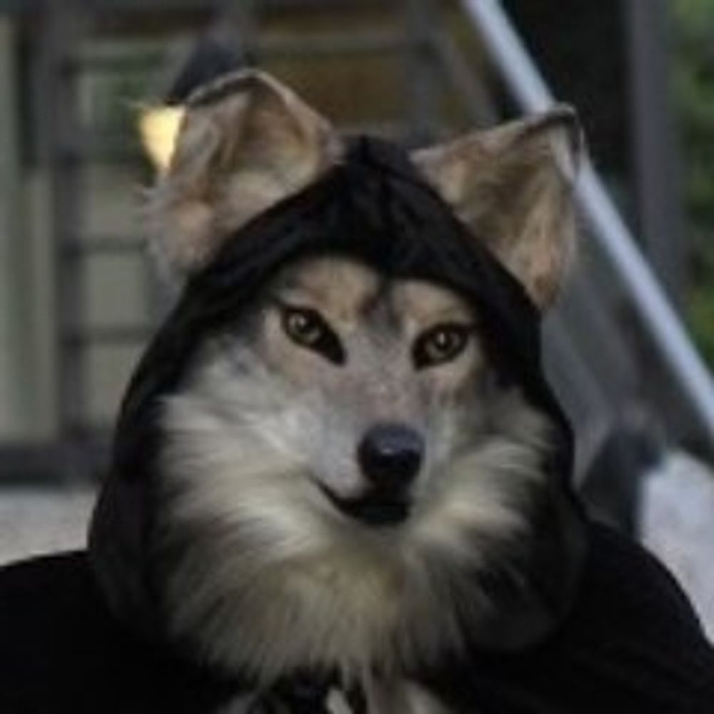 SoulWolf