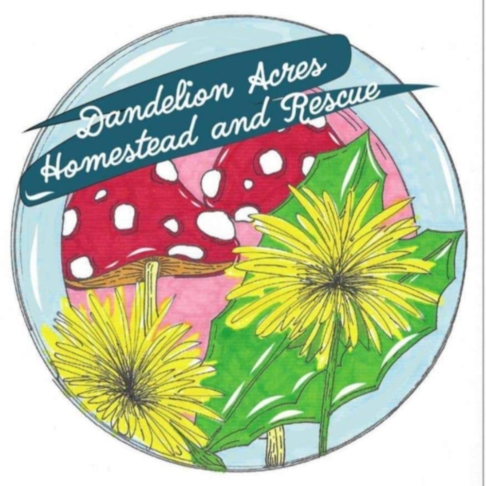 Dandelion Acres Homestead and Rescue