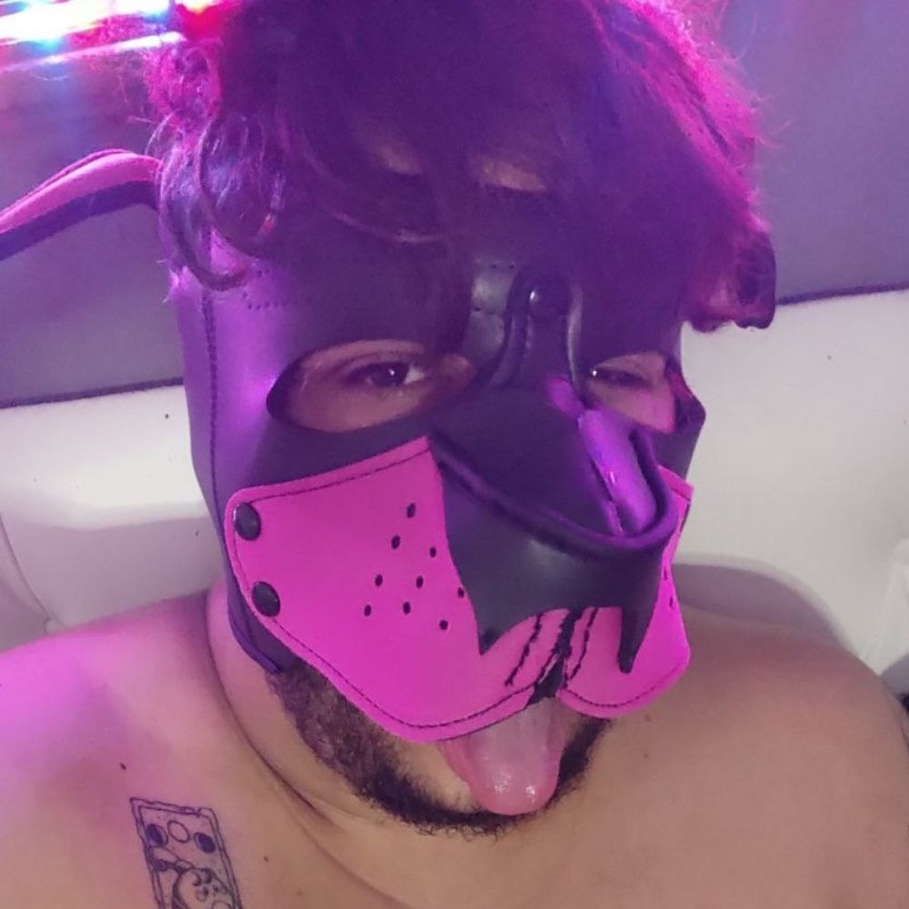 Raposinha pelada 🦊