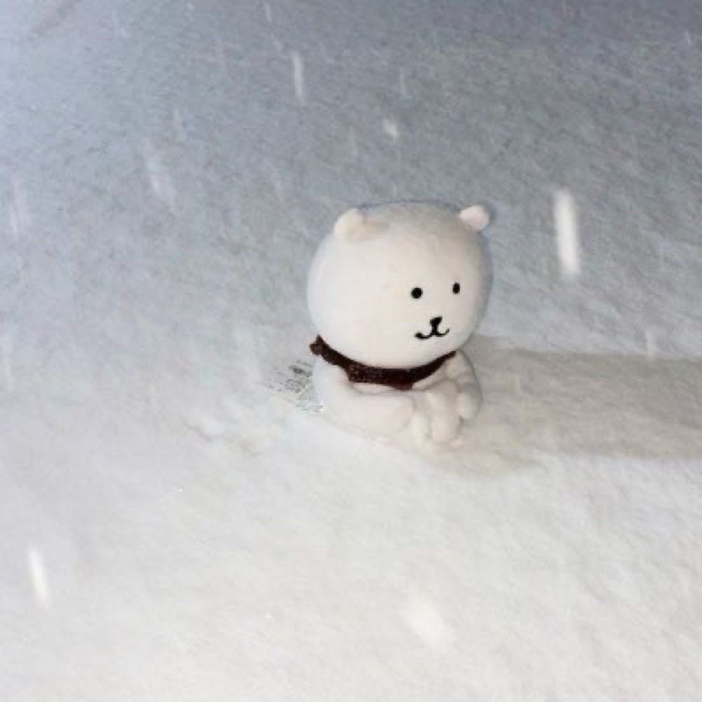 こん
