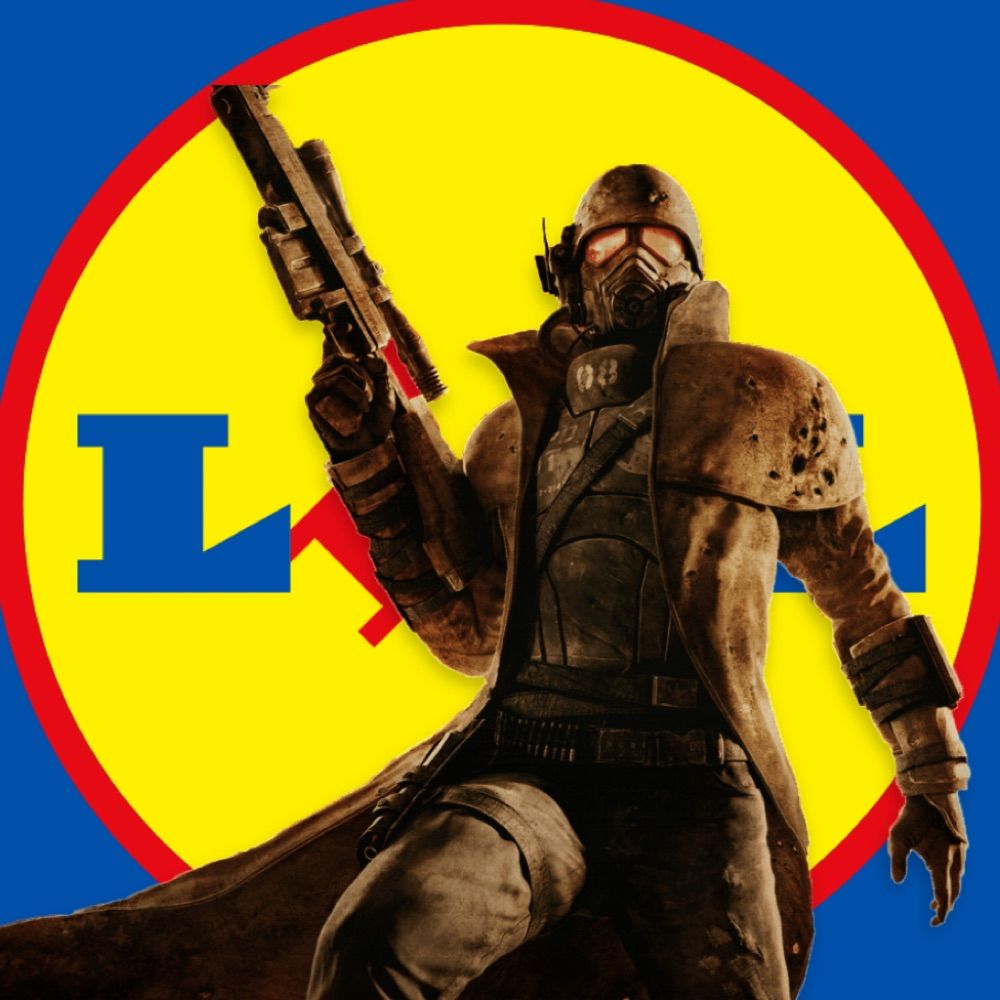 lidl investor