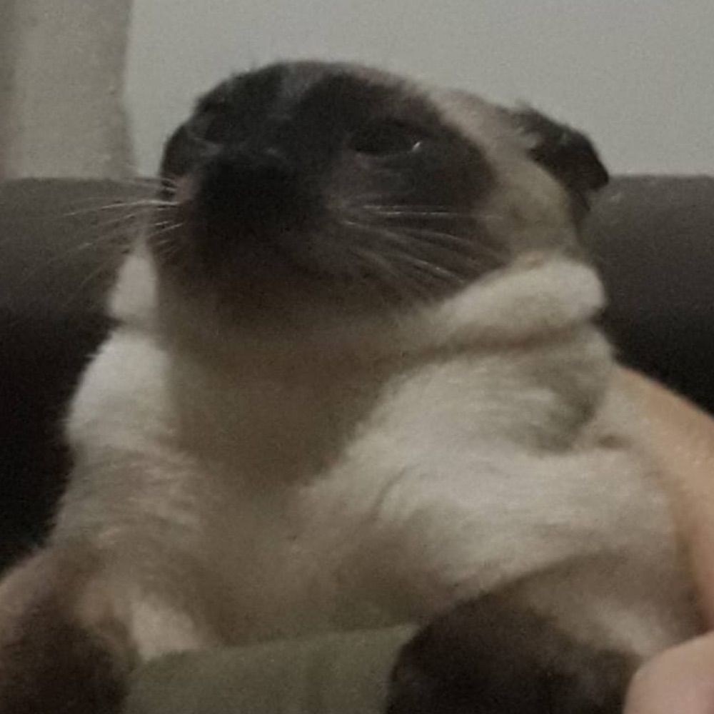te