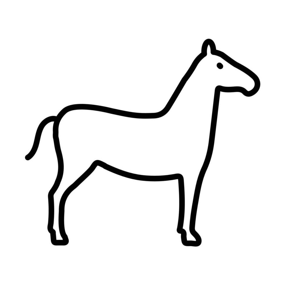 airhorse.bsky.social profile picture