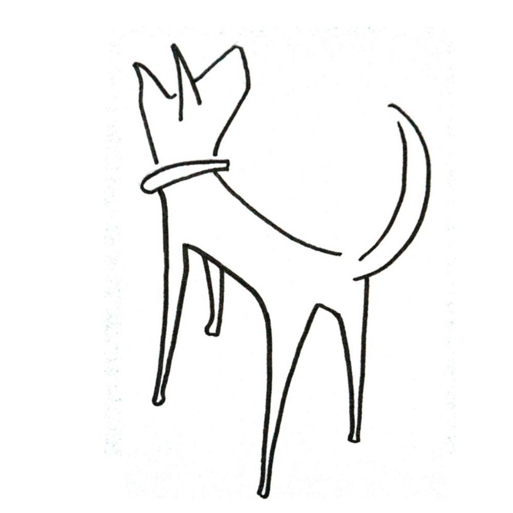 Butcher's Dog Publishing