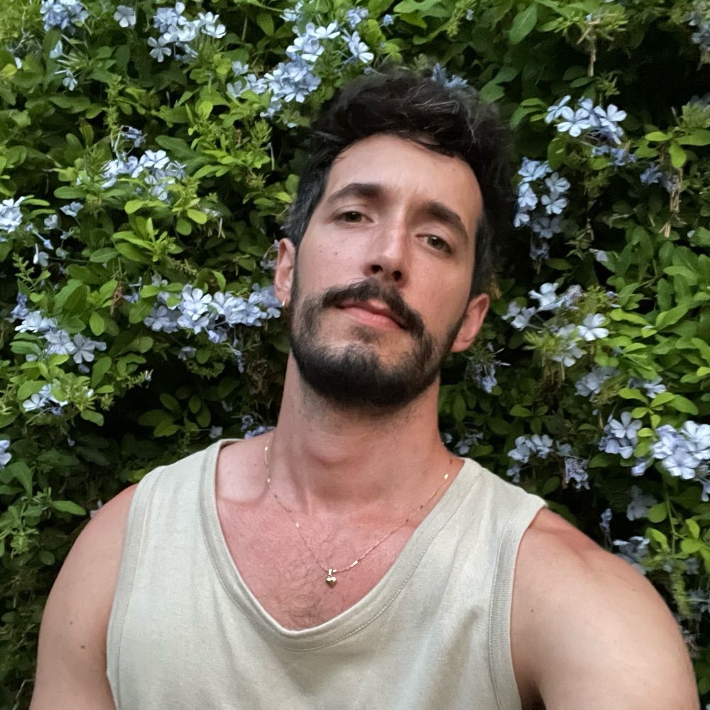 Damir