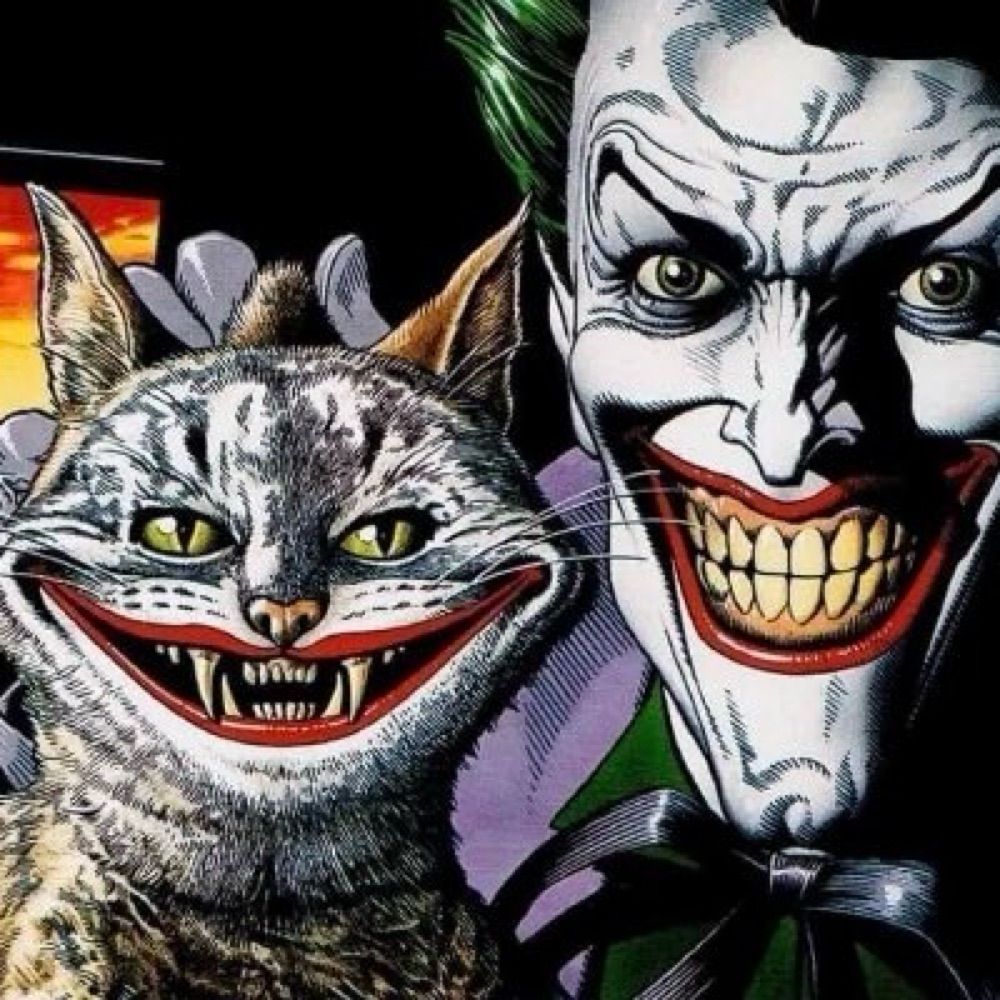 🐈