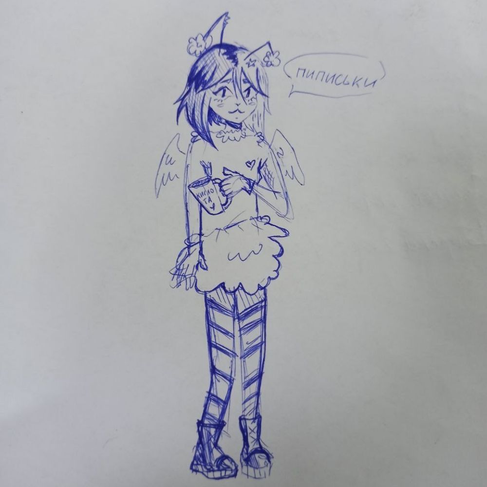 NavvSei