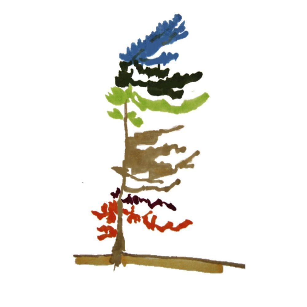 Community Foundation of Kawartha Lakes