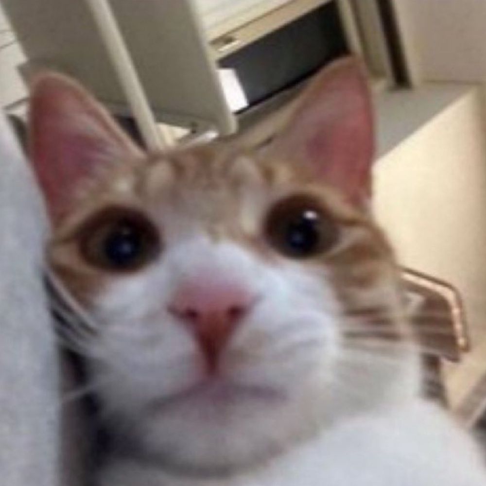 presida da terapinga 💬🍺