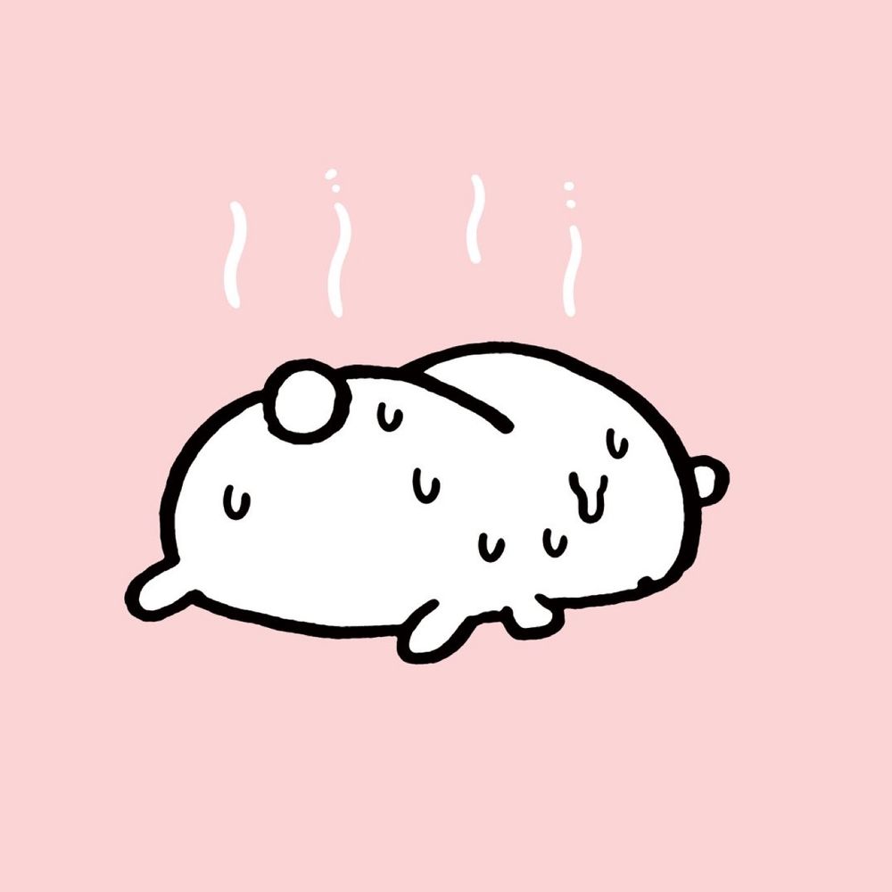 바질 키우기