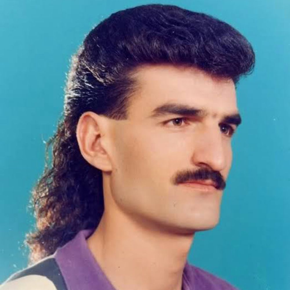 vlademir erenin
