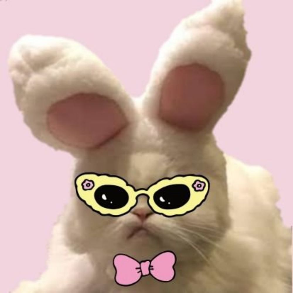 𐙚ΖαεωμεrΙ⚡️ପ꒰⑅´ ˘ `⑅꒱ଓ