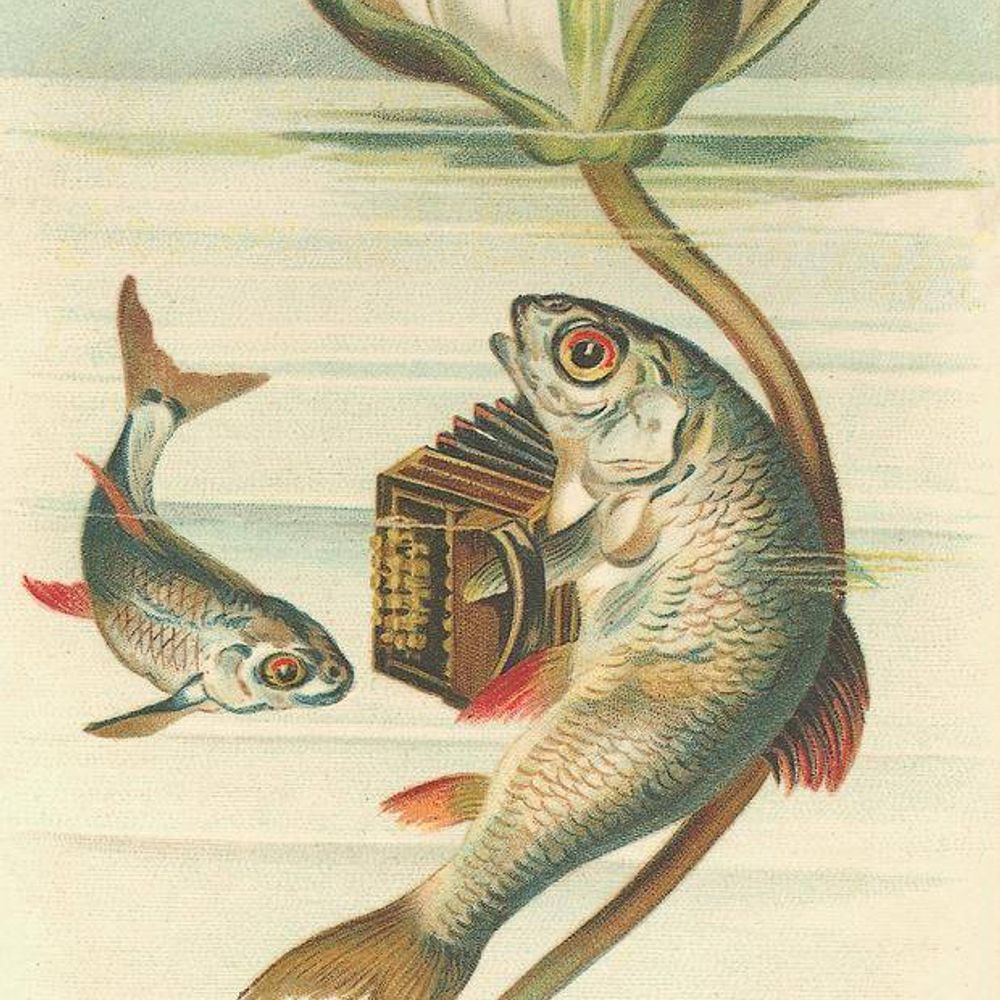 Knut Bratfisch