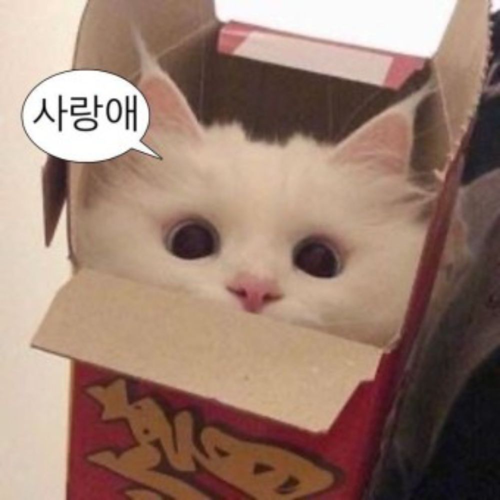 꾸잇
