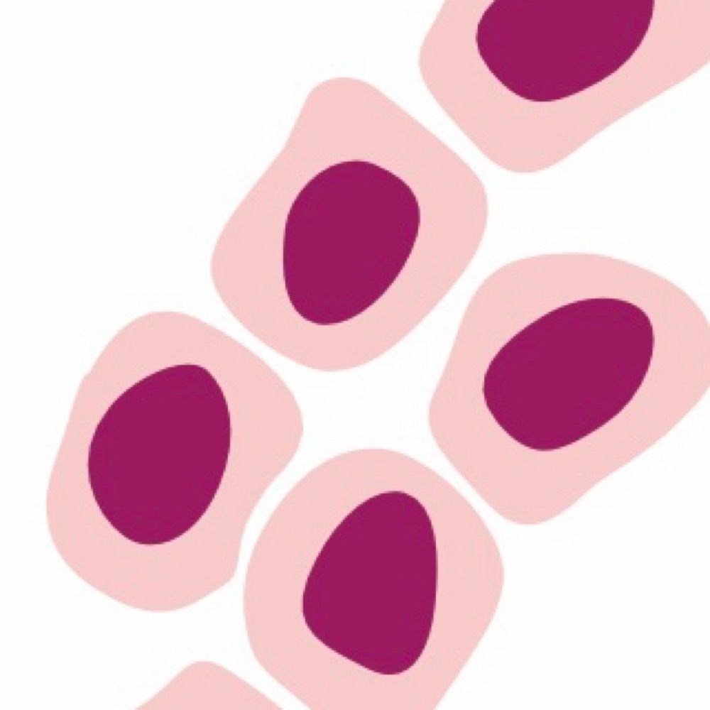 European Lobular Breast Cancer Consortium