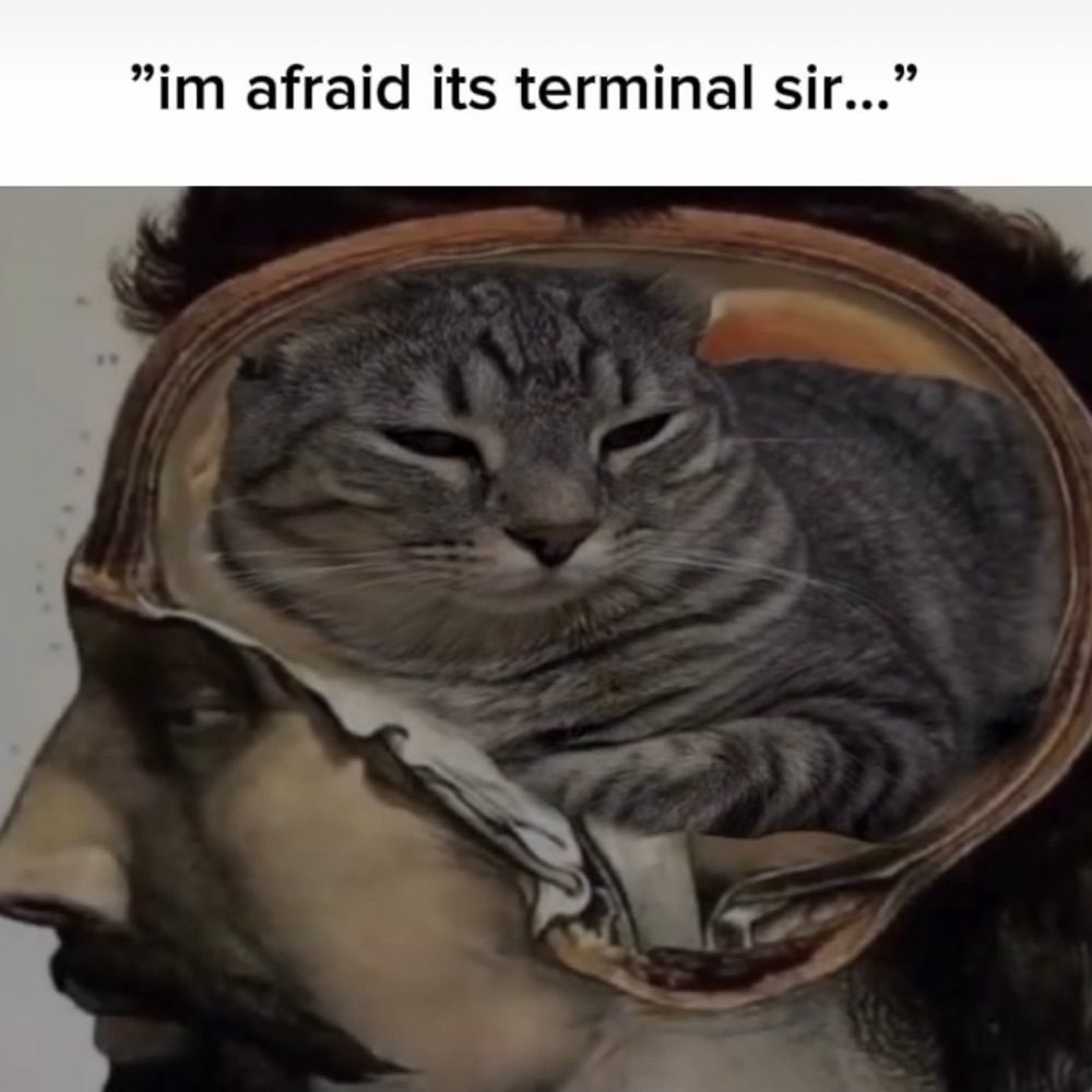 magmacatmelts