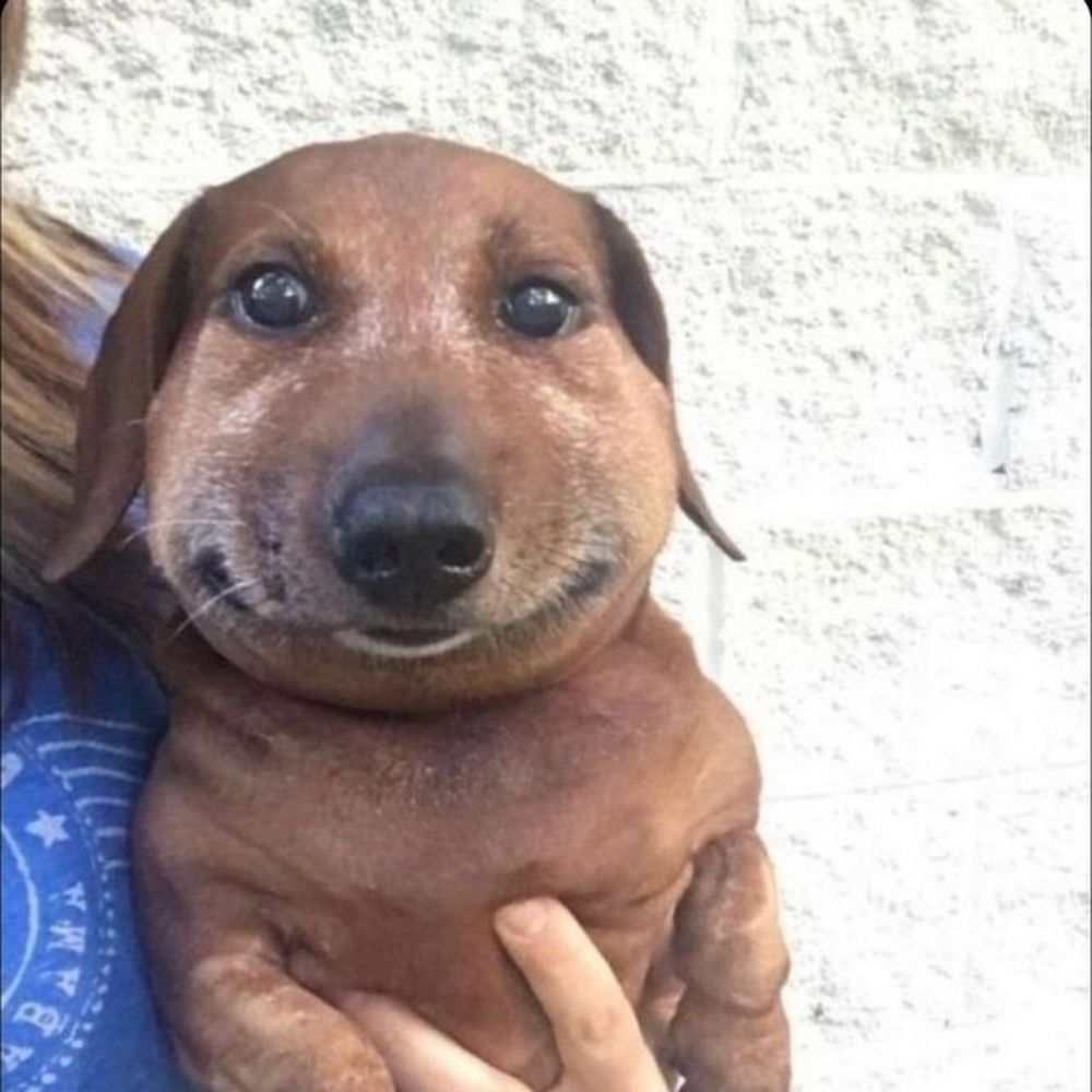 Nana.