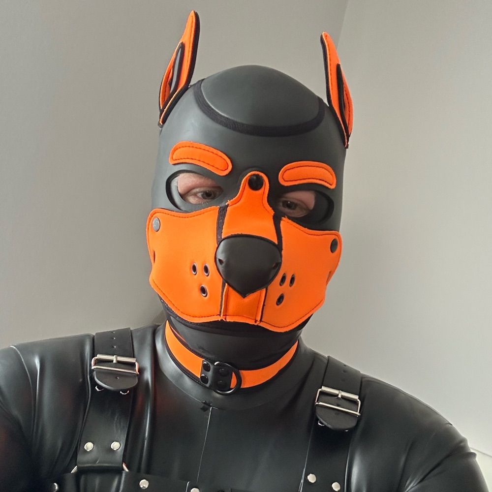 Puppy Sky
