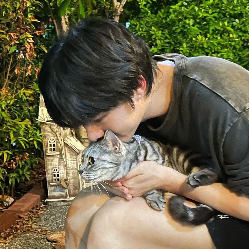 Arin