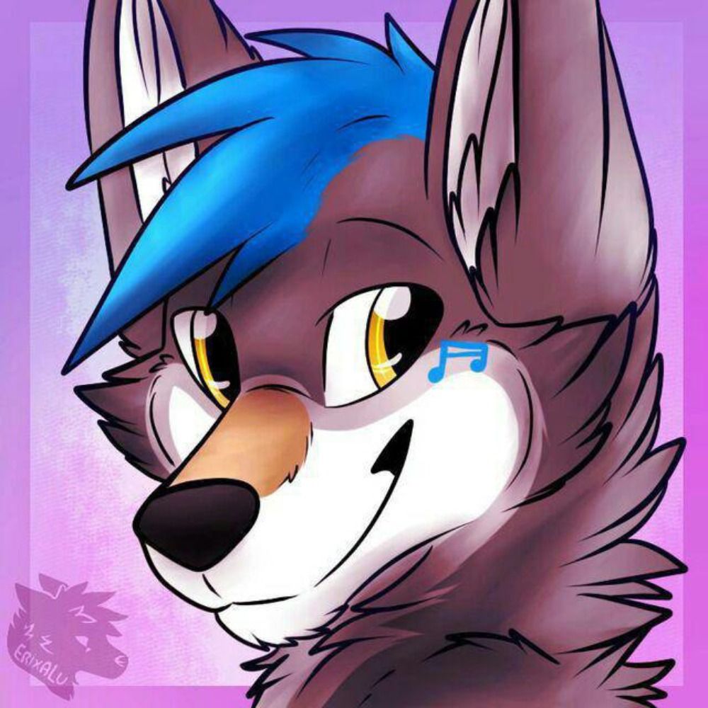Cantus The Folf