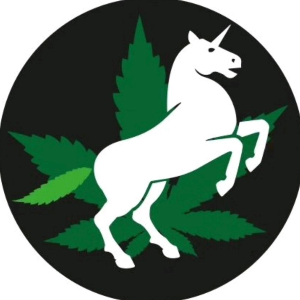 Unicorn Boys Genetics