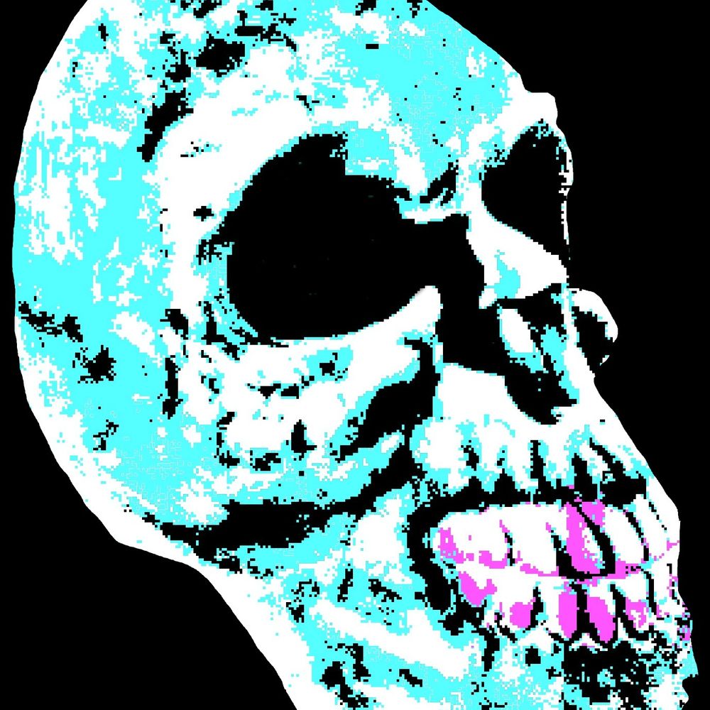 Fact Face
