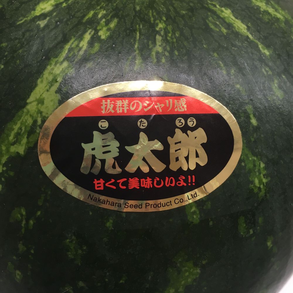 虎太郎