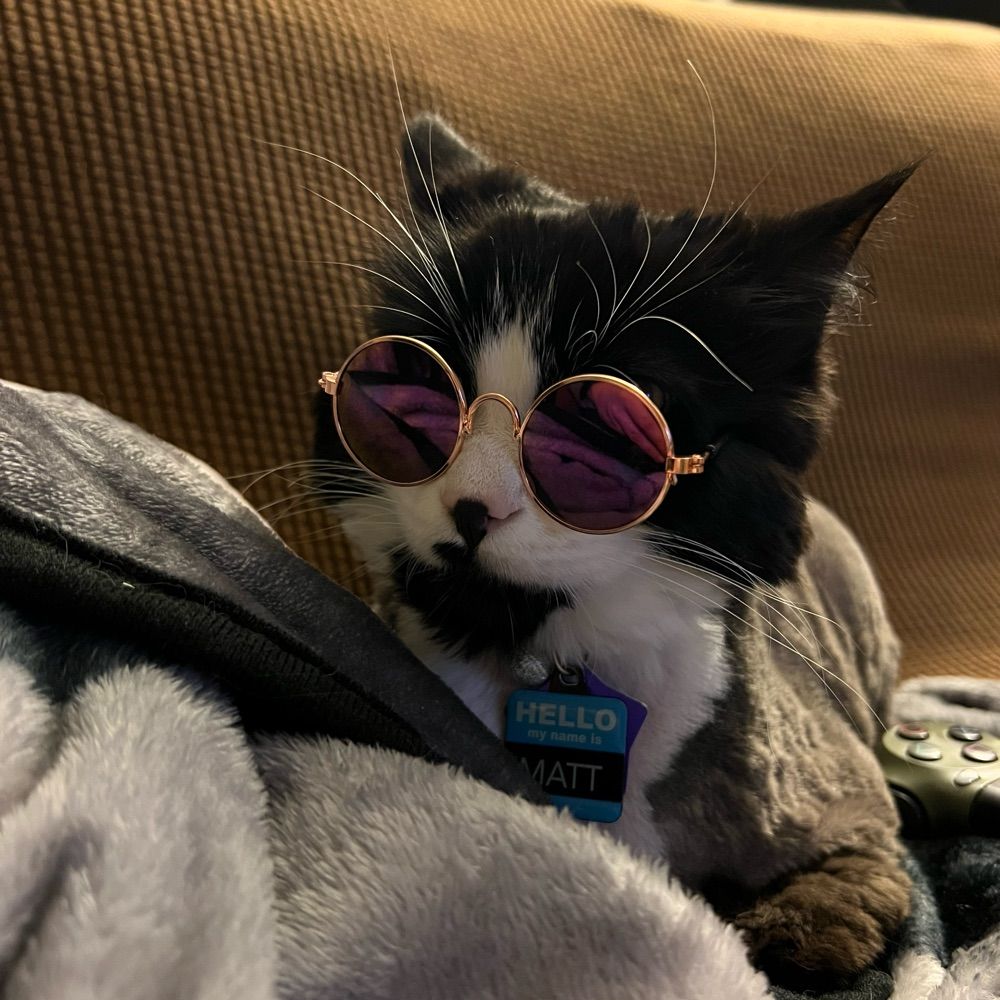 Matt the Tuxedo