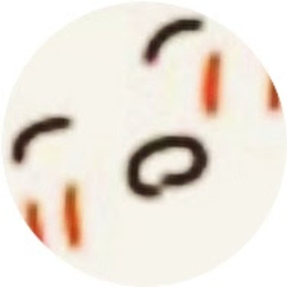 たにし