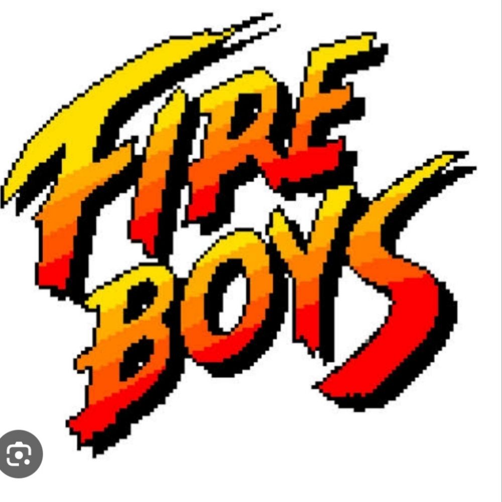 Wtfboys