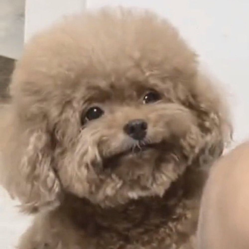 ???