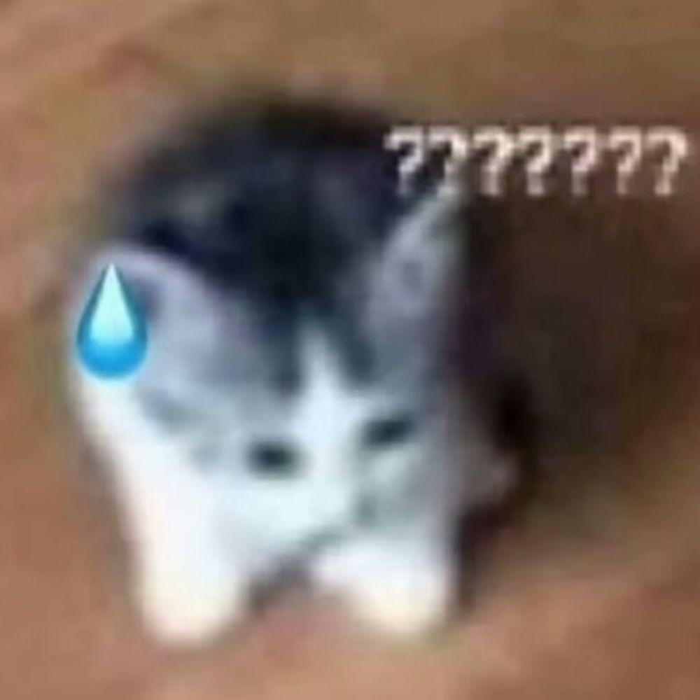 SengaOctopCat