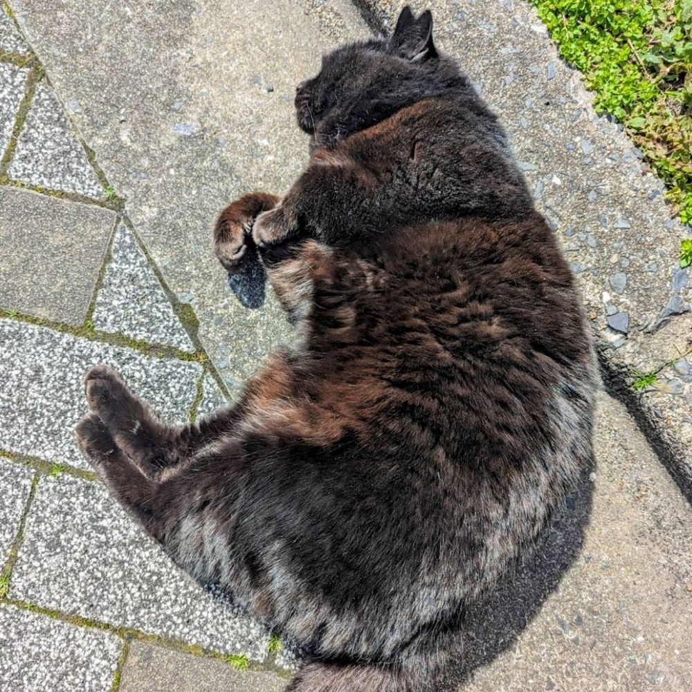 さかい
