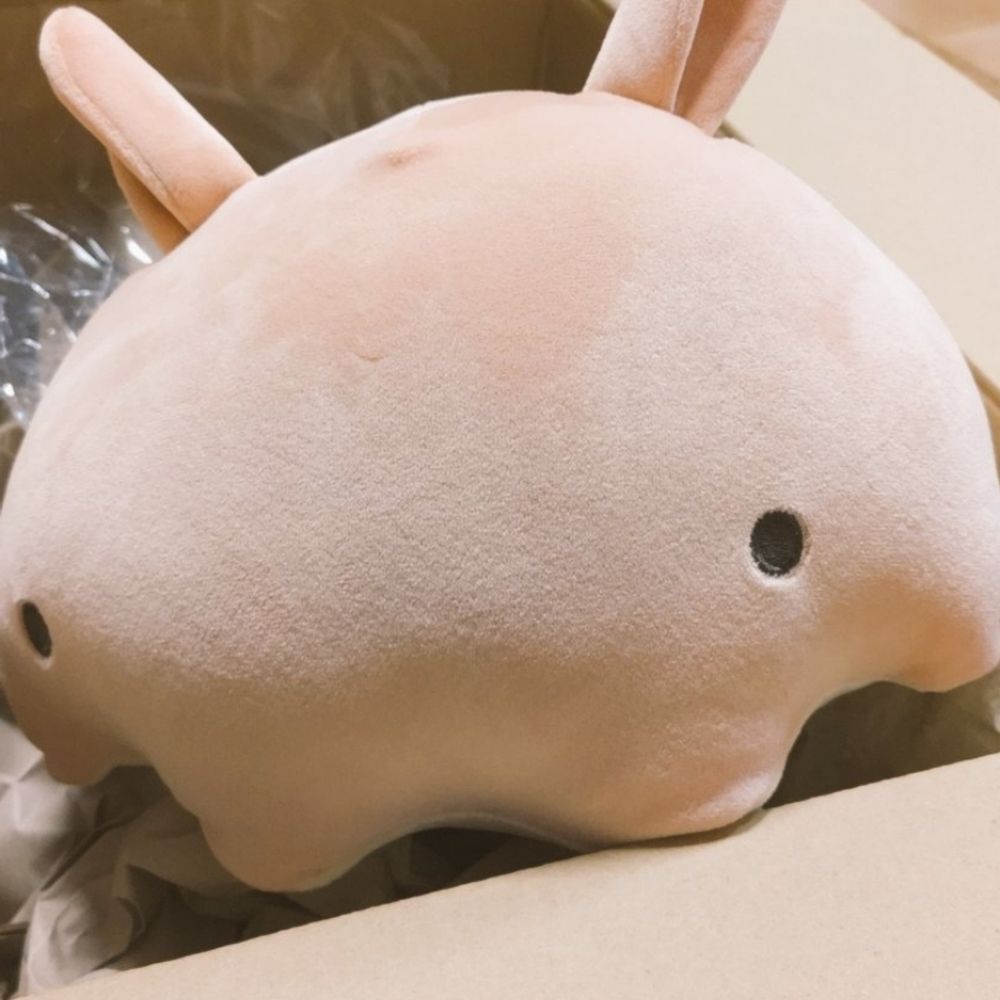 ブン