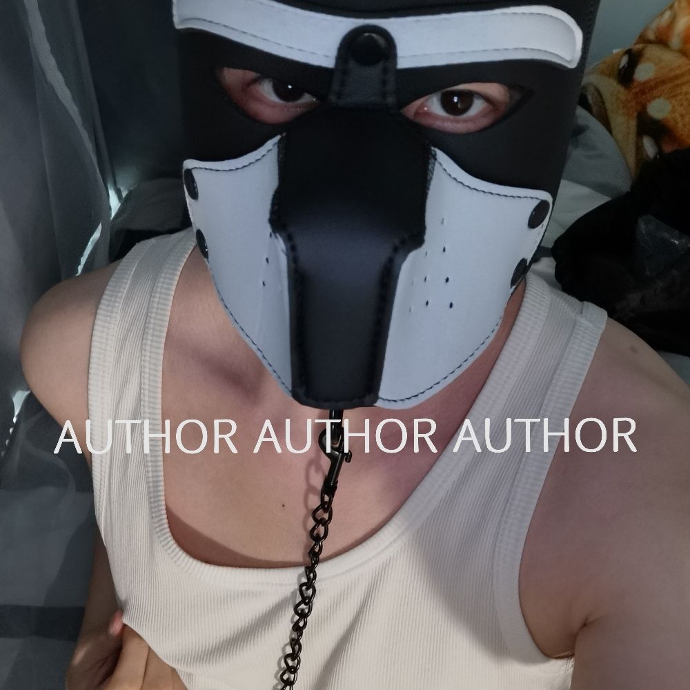 Author🐙