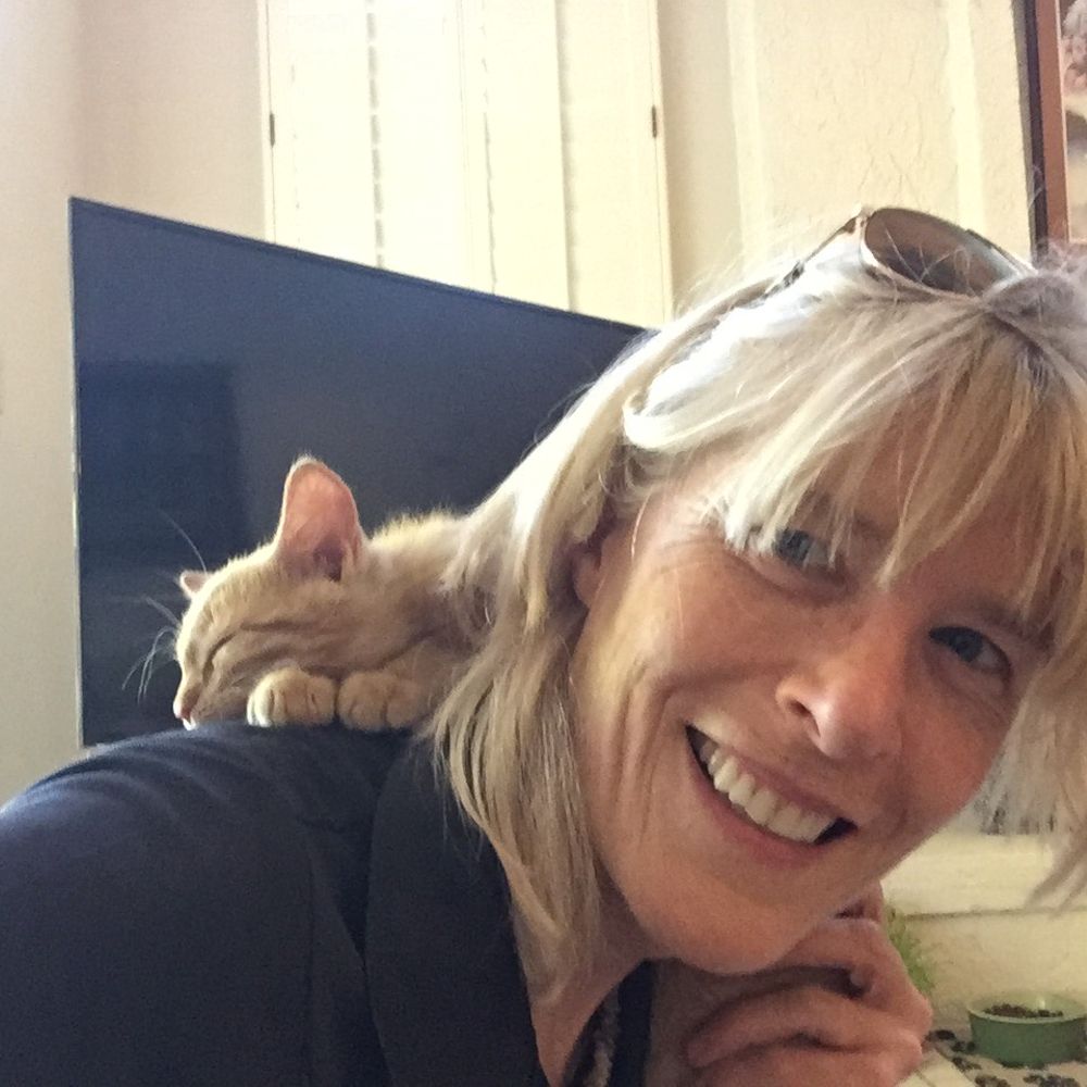 Toni Logan Author