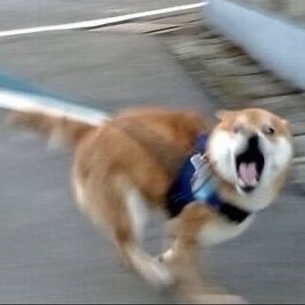 ビュンビュン